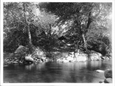 Creek On Tule River Indian Reservation Near Porterville 1900 Calif - Old Photo picture