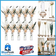 Qinyoung 10 Set Pampas Grass Centerpiece 10 Glass Jars 10 Roses 80 Stems picture