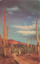 Postcard AZ: Horseback Riding, Papago Park, Near Phoenix & Scottsdale, Arizona picture