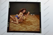 Big Busty Brawlers woman Wrestling catfight 2