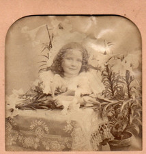 1897 Hold to Light Tissue, A Living Picture.  Stereoview Photo picture