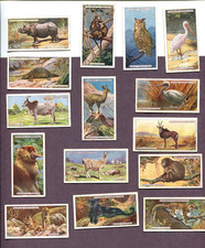 1924 JOHN PLAYER & SONS NATURAL HISTORY 15 DIFFERENT TOBACCO CARD LOT ANIMALS picture