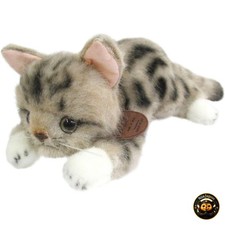 Graceful American Shorthair Begging Brown Plush Realistic Sanei Japan Official picture