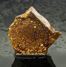Mesmerizing Australian Koroit Faced Opal Rough picture