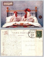 Vintage Tuck's Oilette Humorous Postcard Chickens Breakfast in Bed 1907 picture
