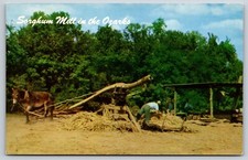 Sorghum Mill in the Ozarks Vintage Postcard picture