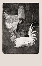 Drie hanen (1898) (three roosters), Theo van Hoytema *Art Postcard* picture