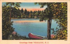 Neshanic New Jersey Greetings Canoeing Scene Vintage Postcard AA62121 picture
