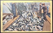 Loading Salmon Puget Sound Wash Linen Postcard 1950 Aberdeen WA Teich picture