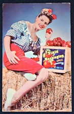 Greetings From Washington State Woman & Apples  Postcard PC 1962 Colourpicture picture