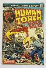 The Human Torch #2 (Marvel Comics November 1974).  Lower grade. picture