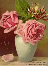 c.1880s Callanan Kemp Tea Coffee New York Pink Flowers Vase Victorian Trade picture