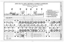 Riverside California 1911 Arlington Heights Citrus Landscape Site Plan picture