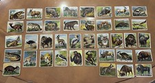1909/11 T29 Hassan Animals Series Complete Your Set 1909 VG to Excellent picture