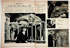 Life Magazine 1955 Marianne Moore Poet Zoo Tour 2-Page Print B&W Photos picture