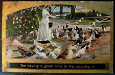 Victorian Humor Postcard 1909 