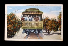 1925 POSTCARD MIDWINTER SCENE TRAVELING THROUGH AN ORANGE GROVE FLORIDA BY TRAIN picture