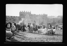 Photo:Jerusalem Palestine Damascus Gate 1940s Market Scene Sheep picture