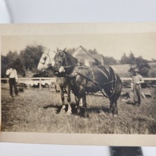 Farm Scene Horses Farmers Preparing to Plow Field House 1940s Vintage Photo picture