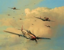 EAGLES ON THE RAMPAGE by Robert Taylor signed by TEN Mustang Aces picture