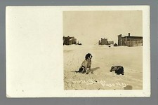 Ruso NORTH DAKOTA RP 1910 MAIN STREET Stores Dog GHOST TOWN nr Minot Velva picture