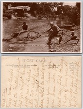 Vintage Exaggeration Postcard Giant Fish Fishing Humor Sepia Z.2821 picture