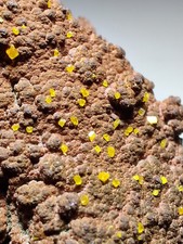 Wulfenite crystals on matrix, Beautiful piece. Whim Creek, Australia. 53 grams. picture