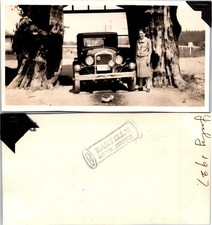 1920s Woman Chevrolet Car Vanished Forest Snohomish Cty WA B+W Photo S0061 picture