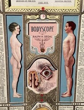 Antique Anatomy Chart From A Folio Titled: Body Scope By Ralph H.  Segal picture
