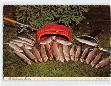 Postcard Fisherman's Dream Fish Caught picture