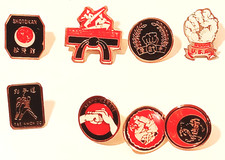 Lot 8 Martial Arts Enamel Pins Shotokan Karate Kenpo Judo Taekwondo Moo Duk Kwan picture