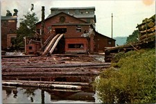 Postcard - Cass Scenic Railroad Logging Sawmill West Virginia Pulp Paper Mill B4 picture