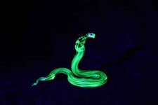 Uranium Glass Cobra Uranium Vaseline Glass Figurine Cobra Glass UV Snake Glass picture