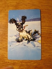 MID 1900'S VINTAGE PLAYING CARD SWAP COUPON BUTCH DOG FALLING IN ICE ON LAKE picture