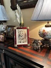 Louis Wain- Gentleman Cat- Framed Under Glass - Vintage - Hand Tinted picture
