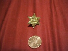 UNKNOWN OBSOLETE ANTIQUE STAR SECURITY SERVICE Pin Medal picture