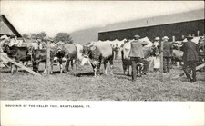 Brattleboro Vermont VT Valley Fair c1900s-10s Vintage Postcard picture