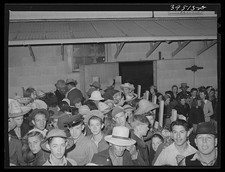 Photo:Nampa Idaho 1941 High School Boys Girls Pea Harvest Workers Trucks picture