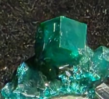 Exceptional Gemmy Dioptase Crystal – N’tola Mine Congo – Deep Emerald Green Mini picture