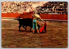 Postcard Bull Fight Bullfighting picture