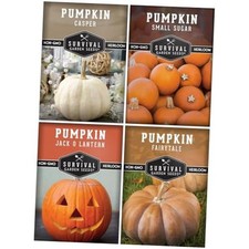 Pumpkin Seeds 4 Variety Pack for Planting | Small Sugar, Jack O' Lantern, picture