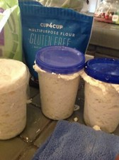 Gluten Free SOURDOUGH BREAD STARTER yeast San Francisco SAMMY plus recipes NEW z picture