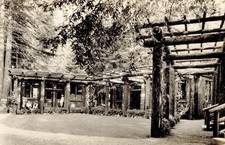 Old BOHEMIAN GROVE MONTE RIO CALIFORNIA RPPC Photo Postcard COPY picture