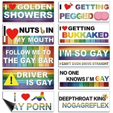 10 Pcs Funny Gay LGBT Prank Bumper Stickers Funny Car Stickers Rainbow  picture