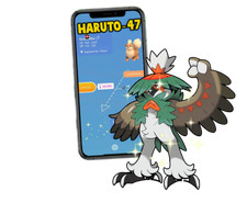 Shiny Decidueye Hisuian Trade 1M or Registered picture