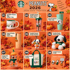 Starbucks Korea 2026 Peanuts Snoopy Tumbler Cold Cup Mug Plush Keychain MD picture