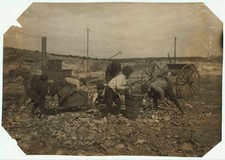 Photo:Fall River Massachusetts 1916 Pine Street Dump Scavenger Boys picture