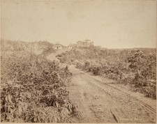 HAWAII Volcano House Kilauea c1890s Large Original Antique Photograph picture