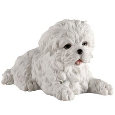 Veronese Design Maltese White Terrier Puppy Dog Animal Resin Figurine picture