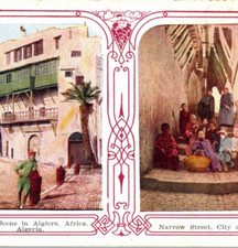 Algeria Africa Algiers Vintage Postcard picture